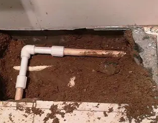 武陟测漏水哪家好