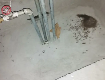 武陟卫生间测漏水价格明细