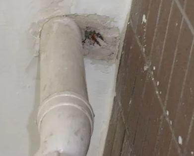 武陟漏水检测哪家好